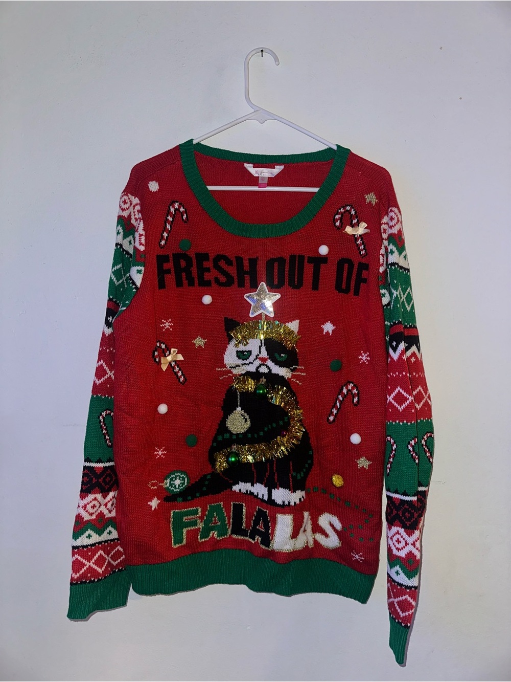 No Boundaries Red and Green Holiday Cat Sweater